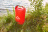 Гермомешок PAYER "Sugomak"(Сугомак) 20L (красный) A602